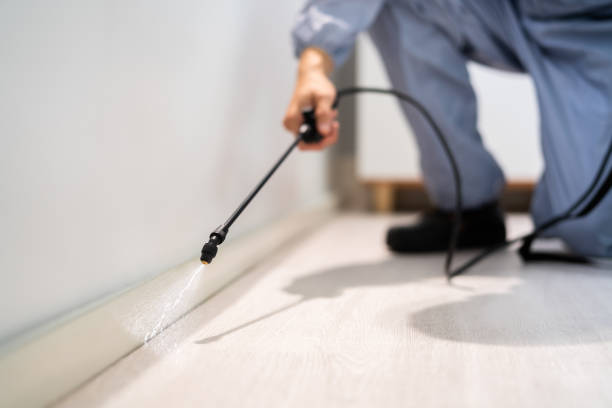 Licensed Pest Control service in Fort Polk South, LA - Show Me Pest Control
