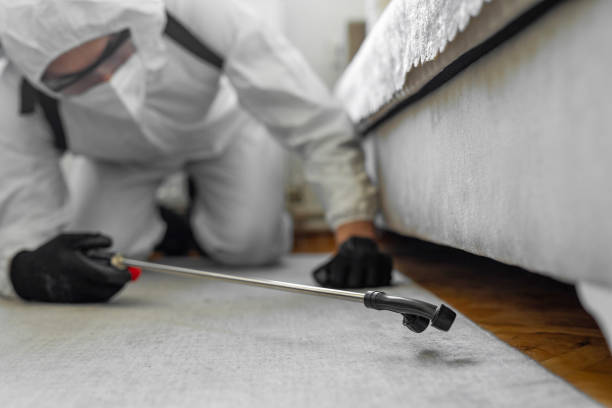 Professional Ant Control technician working in Fort Polk South, LA