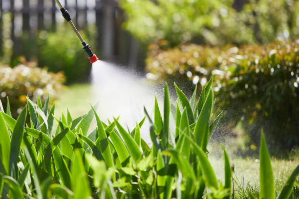 24/7 Emergency Mosquito Control experts in Fort Polk South, LA