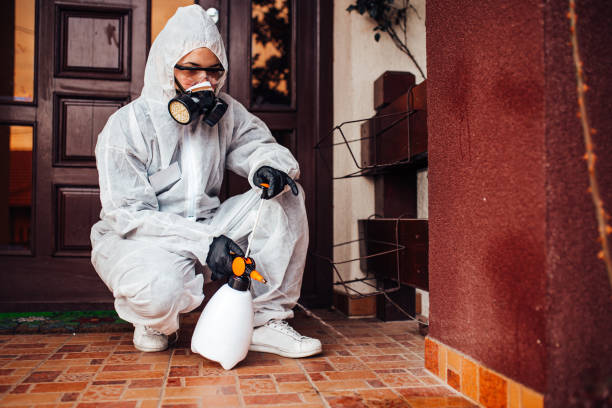 Reliable Mosquito Control contractor in Fort Polk South, LA by Show Me Pest Control